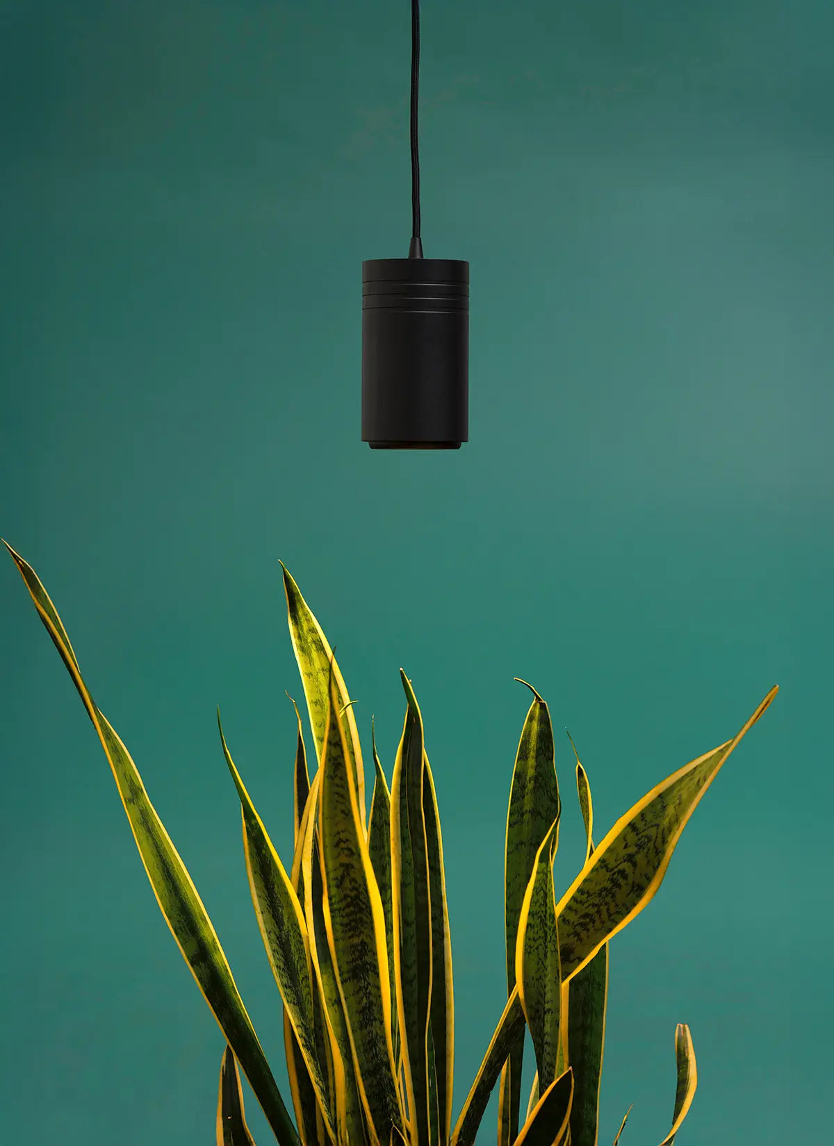 Aspect™ Gen 2 LED Growlight-2