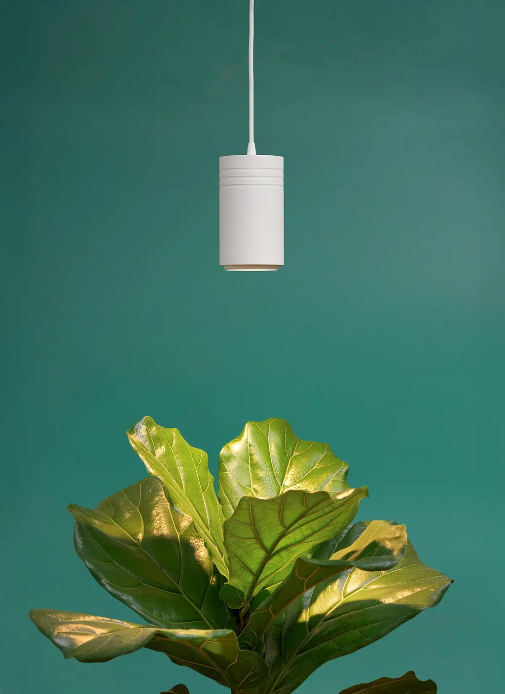 Aspect™ Gen 2 LED Growlight-0