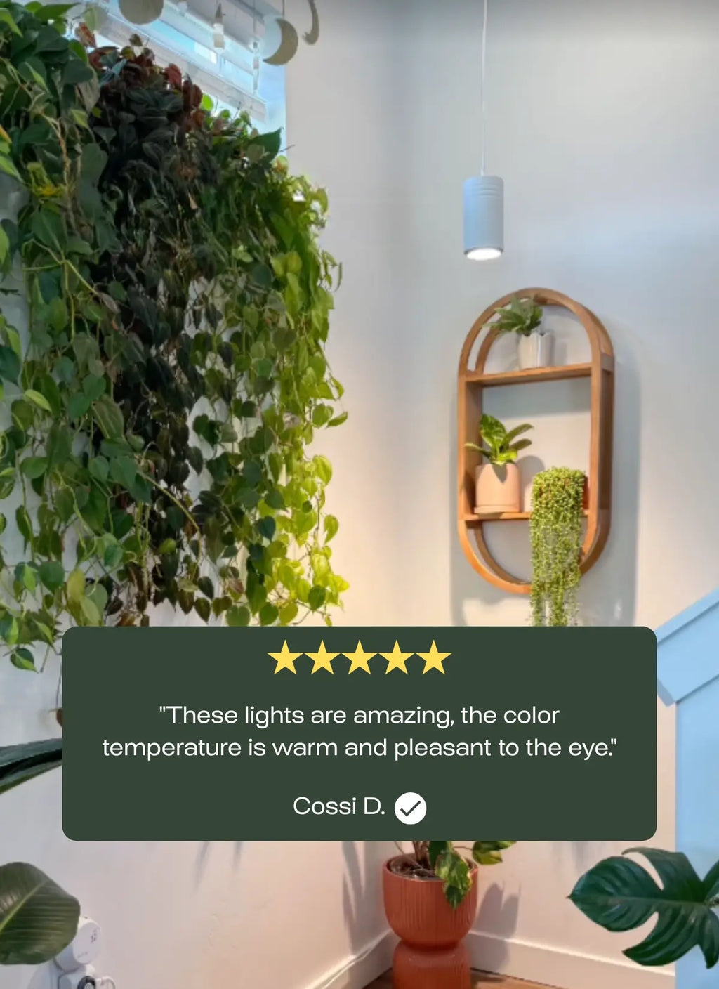 Aspect™ Gen 2 LED Growlight-3